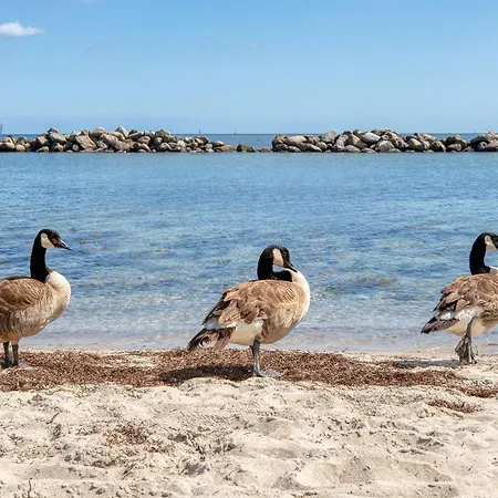 Apartament Olympiablick Schilksee