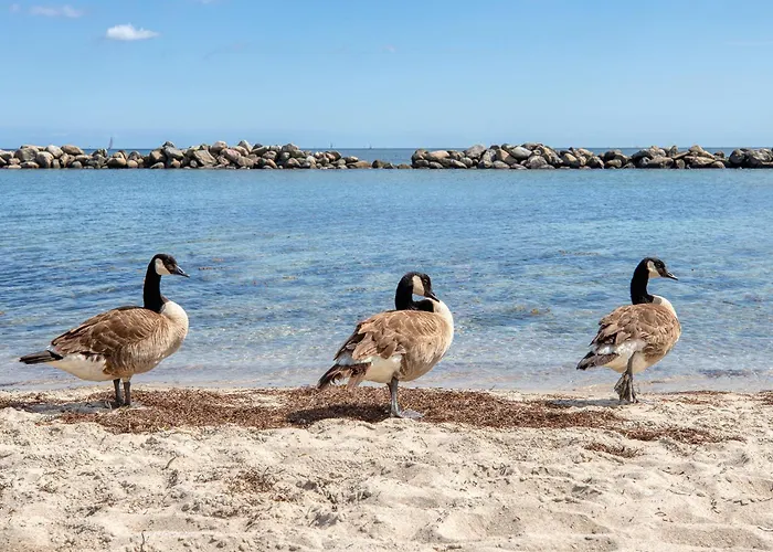 Apartament Olympiablick Schilksee